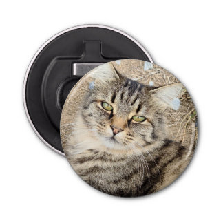 Gray Tabby Cat Bottle Opener