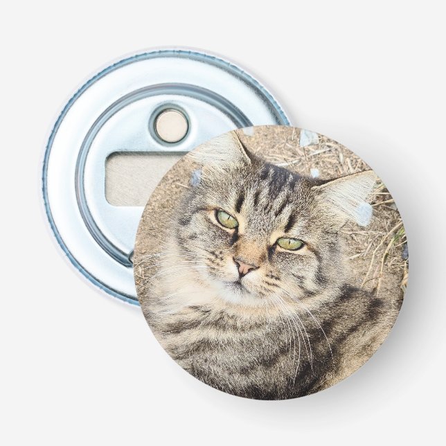 Gray Tabby Cat Bottle Opener (Front)