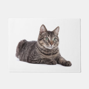 Gray Tabby Cat Doormat