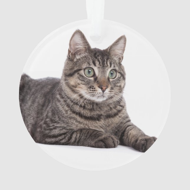 Gray Tabby Cat Ornament (Back)