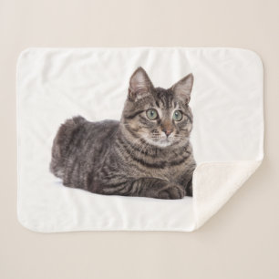 Gray Tabby Cat Sherpa Blanket