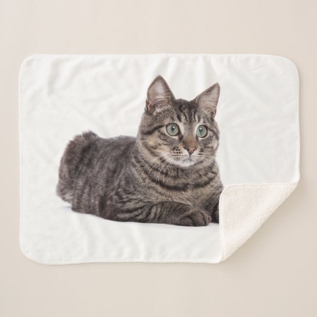Gray Tabby Cat Sherpa Blanket (Front (Horizontal))
