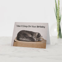 Gray Tabby Cat Sleeping On Box Blank