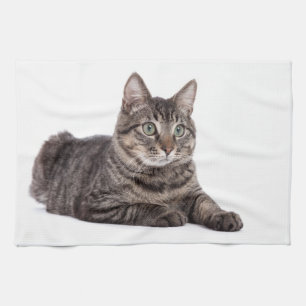Gray Tabby Cat Tea Towel