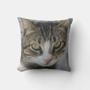 Gray Tiger Cat Picture,Lover of beautiful rare cat Cushion