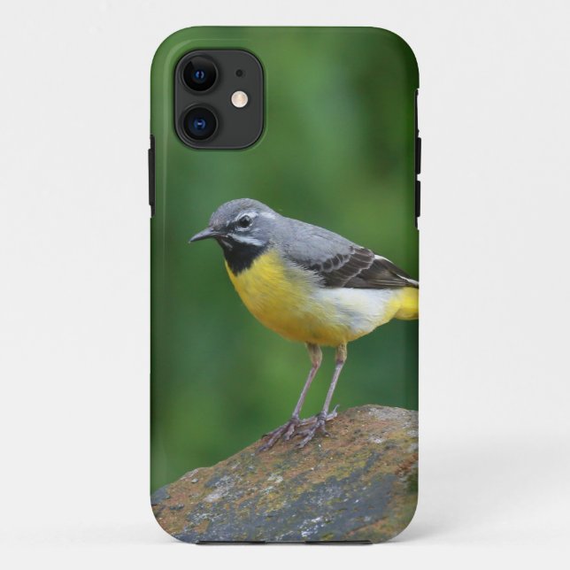 Gray Wagtail - bird Case-Mate iPhone Case (Back)