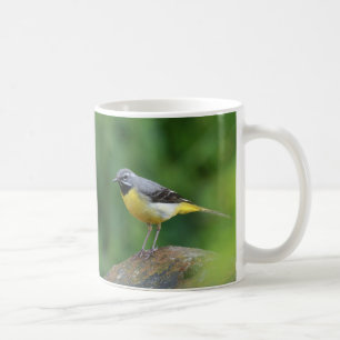Gray Wagtail - bird Coffee Mug