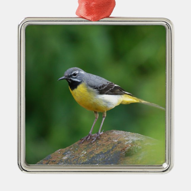 Gray Wagtail - bird Metal Tree Decoration (Front)