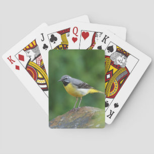 Gray Wagtail - bird Playing Cards
