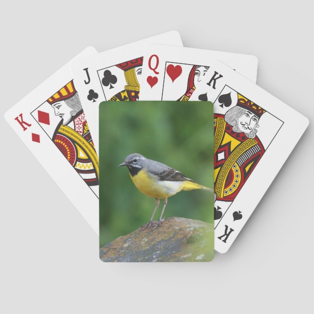 Gray Wagtail - bird Playing Cards (Back)