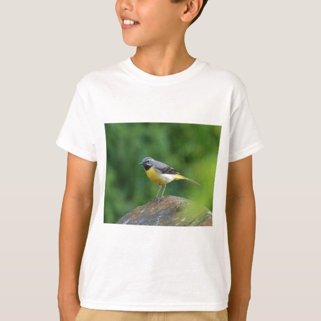 Gray Wagtail - bird T-Shirt (Front)