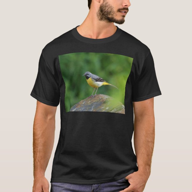 Gray Wagtail - bird T-Shirt (Front)