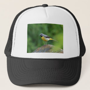 Gray Wagtail - bird Trucker Hat