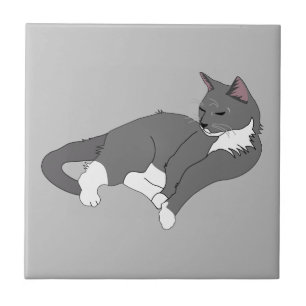 Gray & White Tuxedo Cat Tile