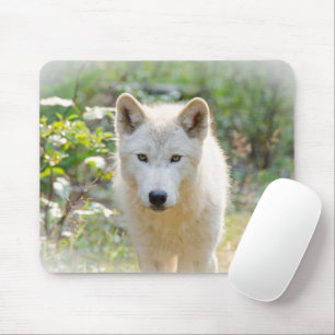 Gray Wolf, Calm Canine  Mouse Mat