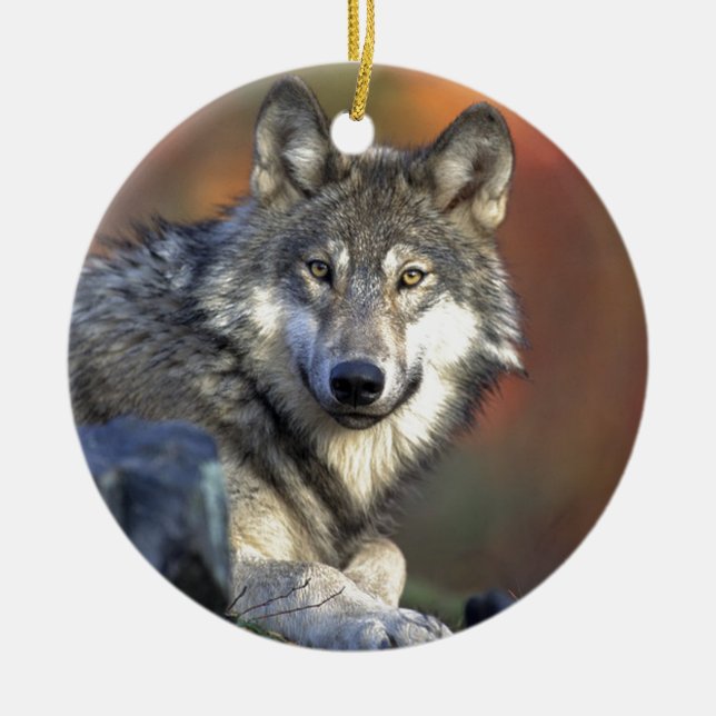 Gray wolf ceramic tree decoration (Front)
