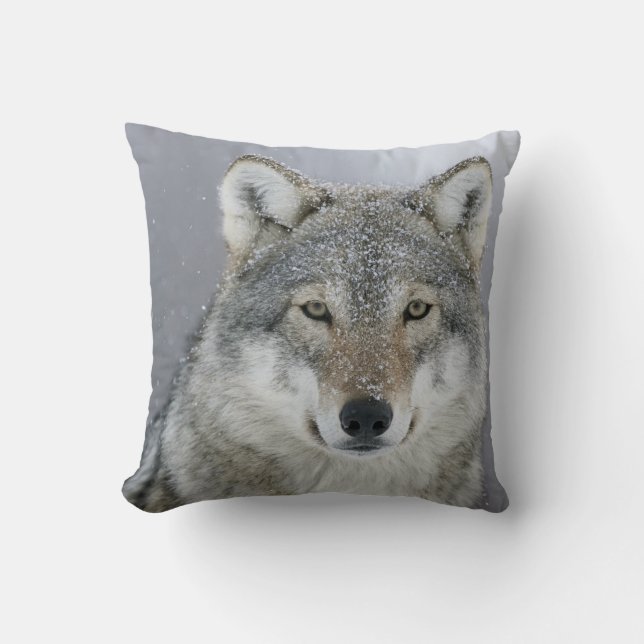 Gray Wolf Cushion (Front)