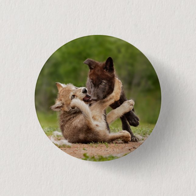 Gray Wolf Pups Wresting 3 Cm Round Badge (Front)
