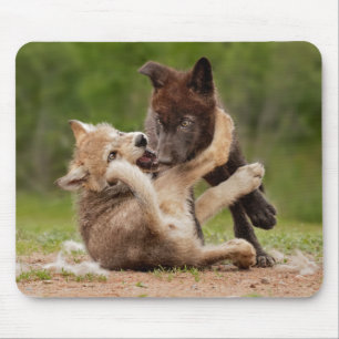 Gray Wolf Pups Wrestling Mouse Mat