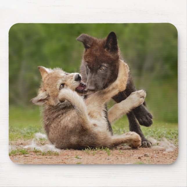Gray Wolf Pups Wrestling Mouse Mat (Front)