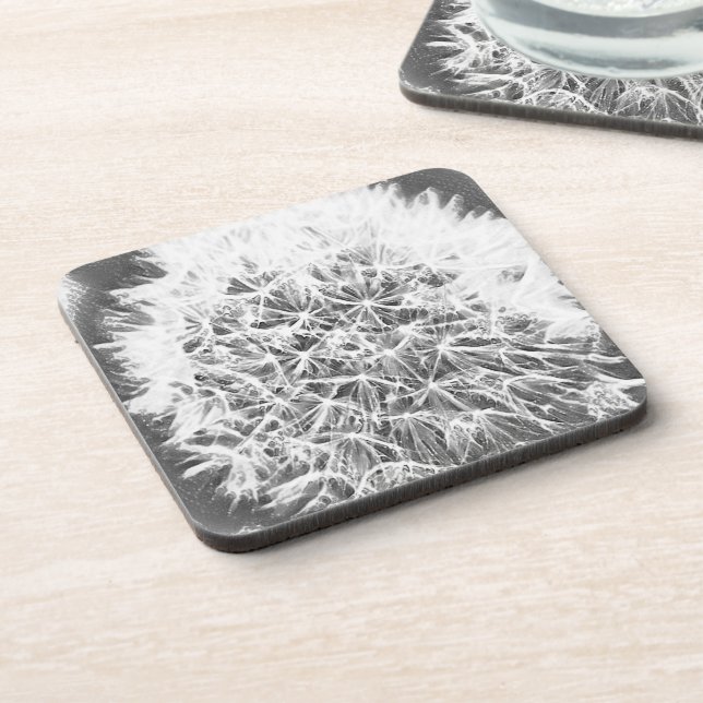 Grayscale closeup dandelion flower coaster (Left Side)