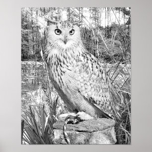 Grayscale Colouring Owl Trees Nature Colouring Poster