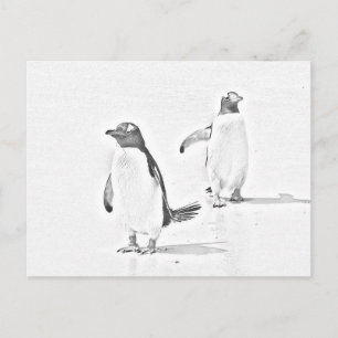 Grayscale Colouring Penguins Antarctic Postcard