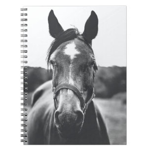 GRAYSCALE PHOTOGRAPHY OF HORSE NOTEBOOK