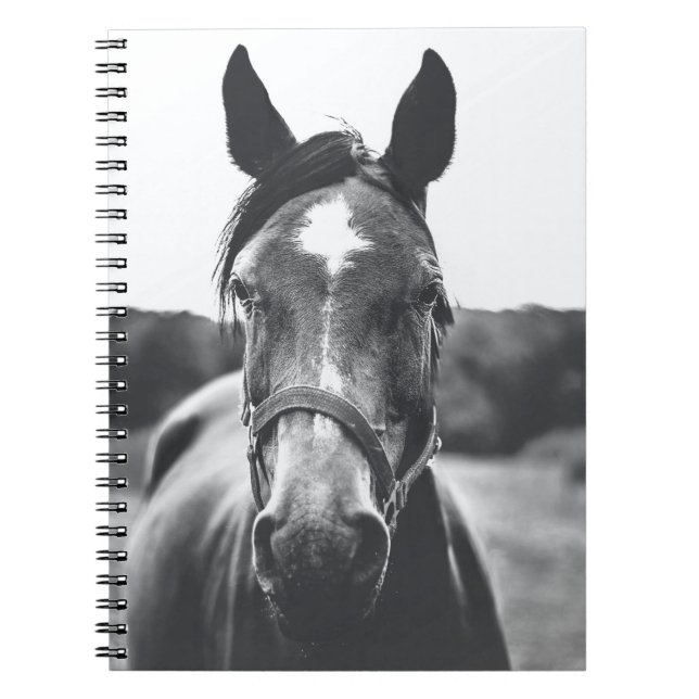 GRAYSCALE PHOTOGRAPHY OF HORSE NOTEBOOK (Front)