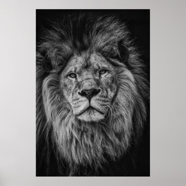 GRAYSCALE PHOTOGRAPHY OF LION POSTER (Front)