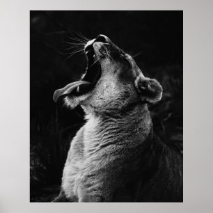 GRAYSCALE PHOTOGRAPHY OF YAWNING LIONESS POSTER
