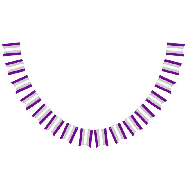 Graysexual Pride Flag Bunting Banner LGBT Party (All)