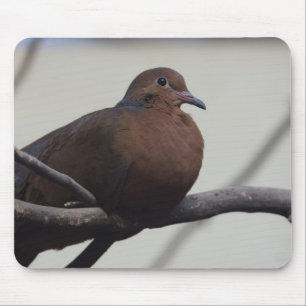 Grayson's Dove Mouse Mat