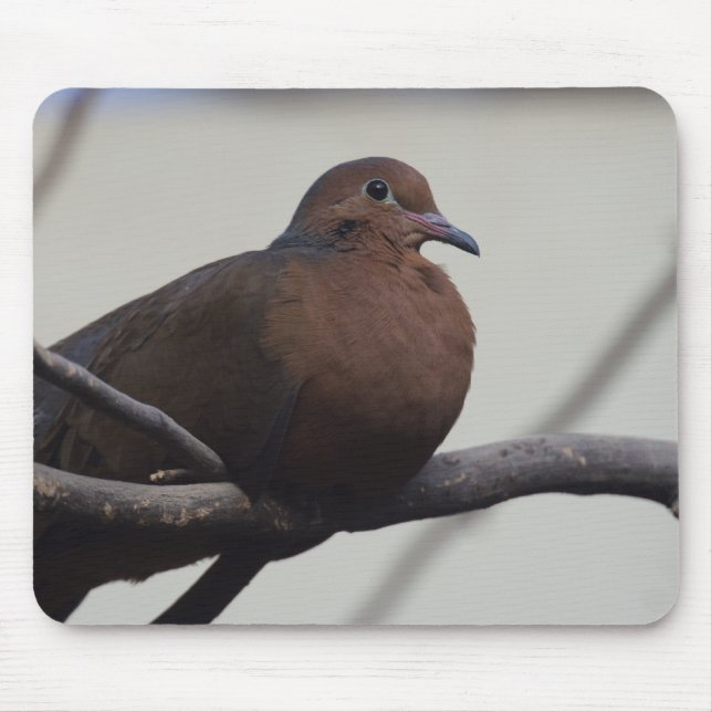 Grayson's Dove Mouse Mat (Front)