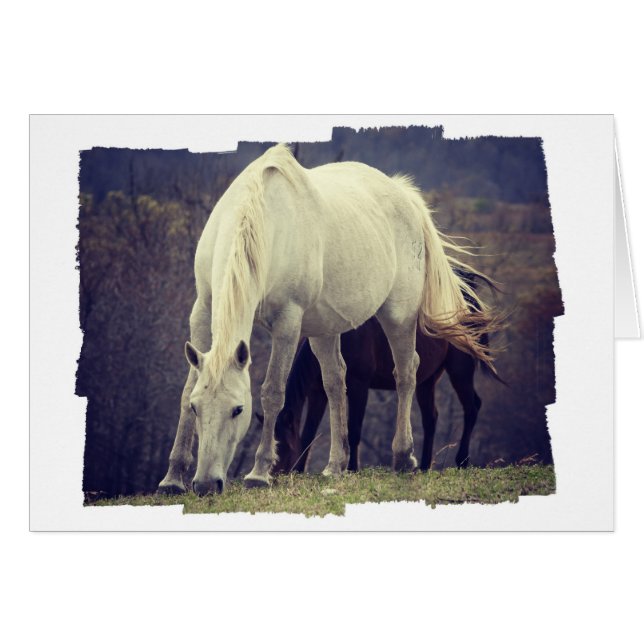 Graze (Front Horizontal)