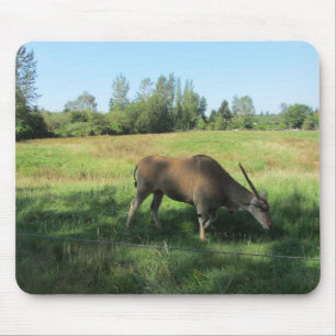 Grazing Antelope Mouse Mat