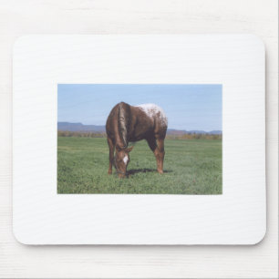 Grazing Appaloosa Mouse Mat