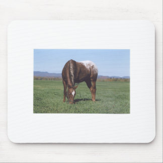 Grazing Appaloosa Mouse Mat