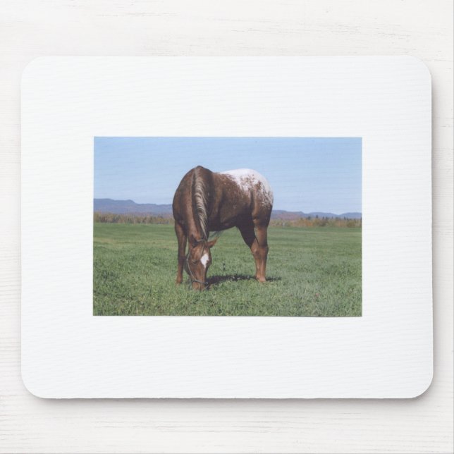 Grazing Appaloosa Mouse Mat (Front)