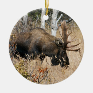 Grazing Bull Moose Ceramic Tree Decoration