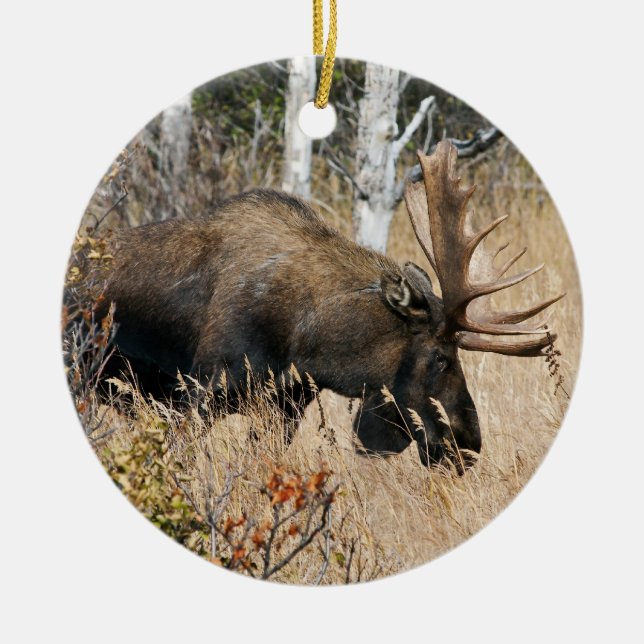 Grazing Bull Moose Ceramic Tree Decoration (Front)