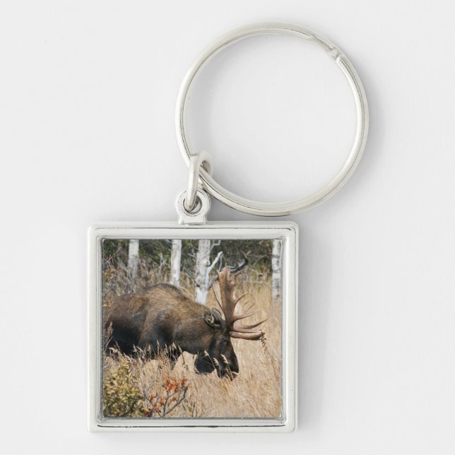 Grazing Bull Moose Key Ring (Front)