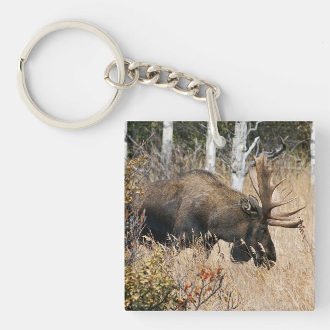Grazing Bull Moose Key Ring (Front)