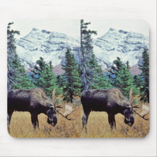 Grazing Bull Moose Mouse Mat
