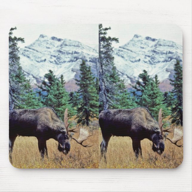 Grazing Bull Moose Mouse Mat (Front)