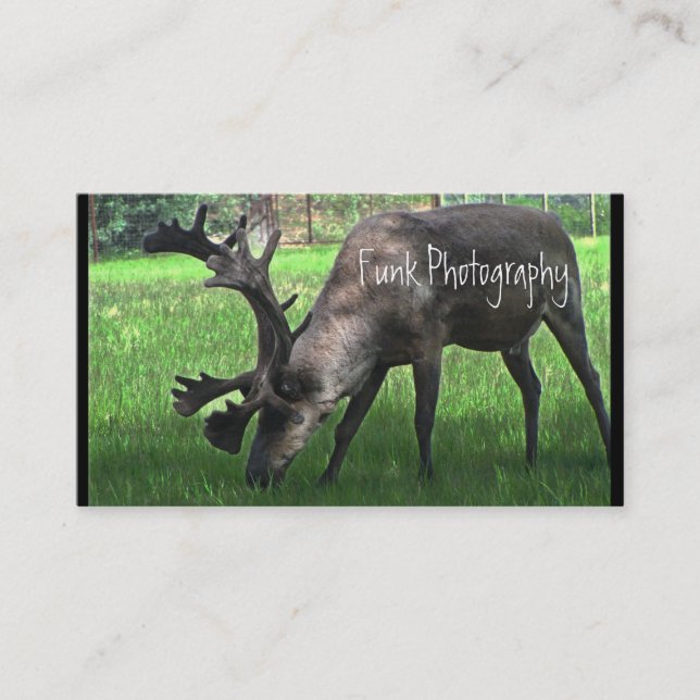 Grazing Caribou Business Card (Front)