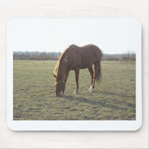 Grazing Chestnut Colour Horse Mouse Mat
