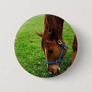 Grazing Chestnut with Stripe 6 Cm Round Badge