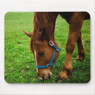 Grazing Chestnut with Stripe Mouse Mat