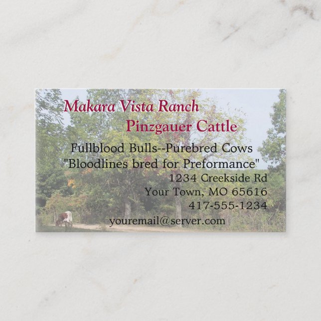 Grazing Cow Biz Card2-customise Business Card (Front)